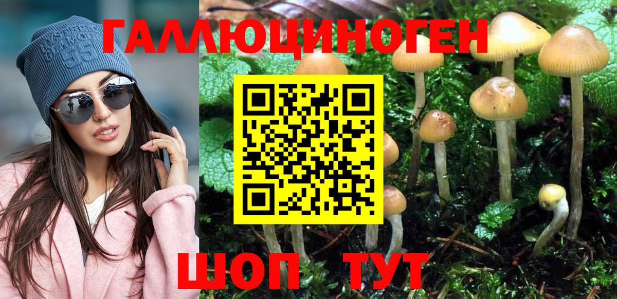 Псилоцибиновые грибы Psilocybine cubensis  Псилоцибиновые грибы мухоморы  Десногорск  Вход с VPN 